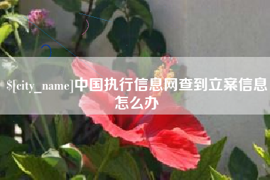 秦皇岛中国执行信息网查到立案信息怎么办
