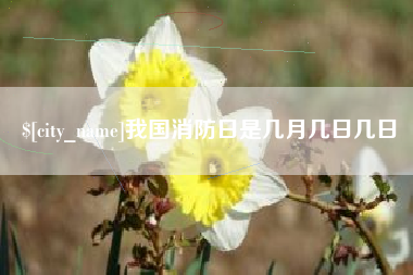 秦皇岛我国消防日是几月几日几日