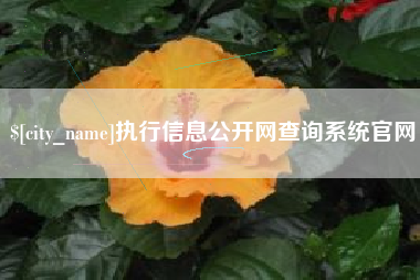 秦皇岛执行信息公开网查询系统官网