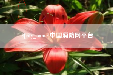 秦皇岛中国消防网平台