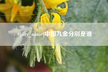 秦皇岛中国九金分别是谁