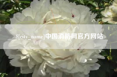 秦皇岛中国消防网官方网站