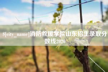秦皇岛消防救援学院山东招生录取分数线2020