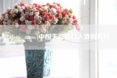 秦皇岛中国失信执行人查询官网