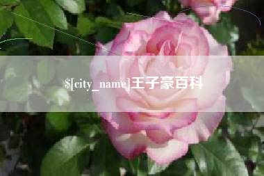 秦皇岛王子豪百科