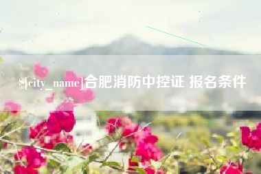 秦皇岛合肥消防中控证 报名条件