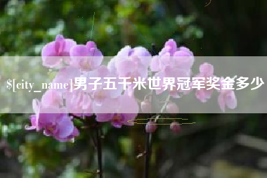 秦皇岛男子五千米世界冠军奖金多少