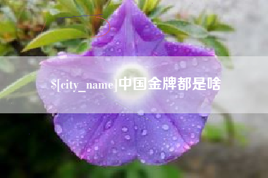 秦皇岛中国金牌都是啥