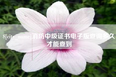 秦皇岛消防中级证书电子版查询多久才能查到