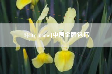秦皇岛中国金牌包括