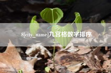 秦皇岛九宫格数字排序