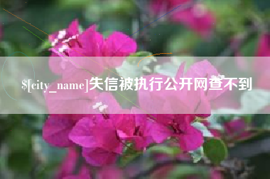 秦皇岛失信被执行公开网查不到