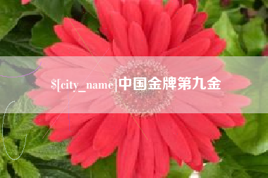 秦皇岛中国金牌第九金
