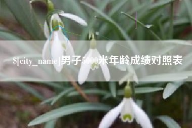 秦皇岛男子5000米年龄成绩对照表
