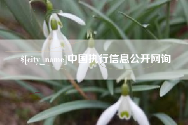 秦皇岛中国执行信息公开网询
