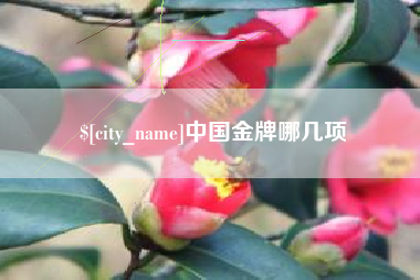 秦皇岛中国金牌哪几项