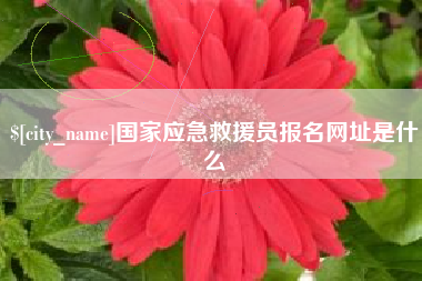 秦皇岛国家应急救援员报名网址是什么