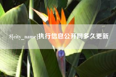 秦皇岛执行信息公开网多久更新