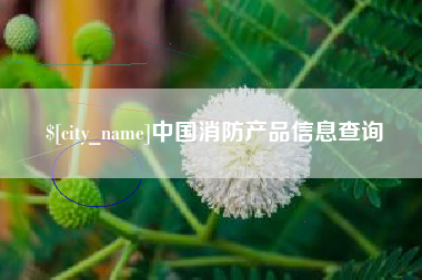 秦皇岛中国消防产品信息查询