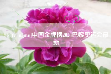 秦皇岛中国金牌榜2024巴黎奥运会最新