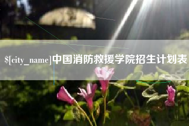 秦皇岛中国消防救援学院招生计划表