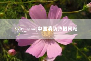 秦皇岛中国消防救援网站