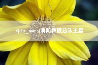 秦皇岛消防救援总队王星