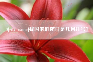 秦皇岛我国的消防日是几月几号？