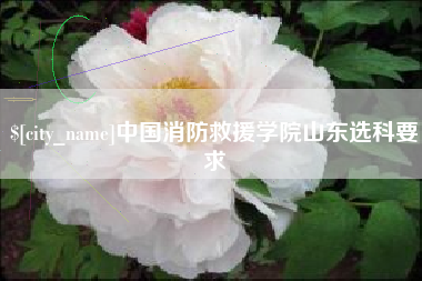 秦皇岛中国消防救援学院山东选科要求
