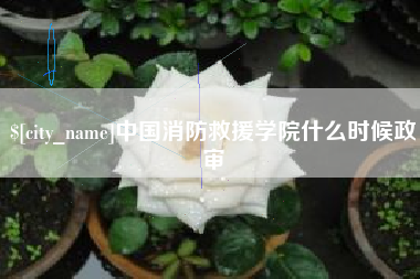 秦皇岛中国消防救援学院什么时候政审