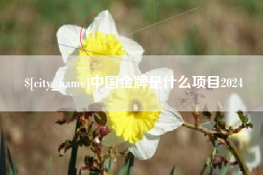 秦皇岛中国金牌是什么项目2024