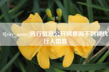 秦皇岛执行信息公开网查询不到被执行人信息
