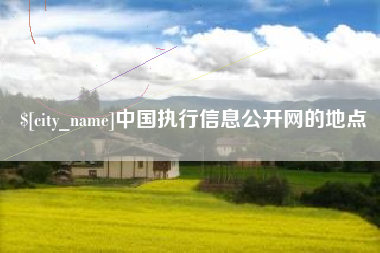 秦皇岛中国执行信息公开网的地点