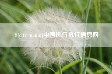 秦皇岛中国执行执行信息网