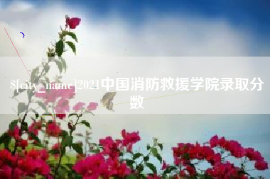 秦皇岛2021中国消防救援学院录取分数