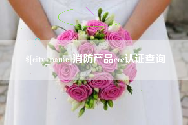 秦皇岛消防产品ccc认证查询