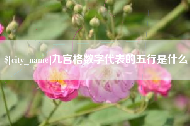 秦皇岛九宫格数字代表的五行是什么