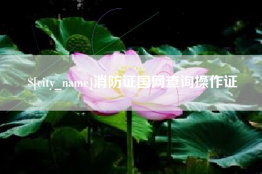 秦皇岛消防证国网查询操作证