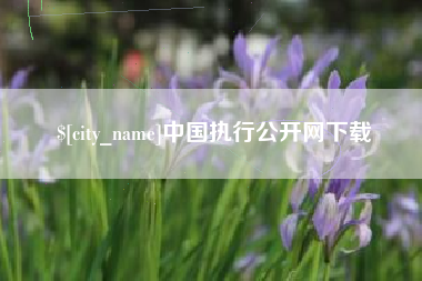 秦皇岛中国执行公开网下载