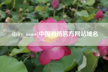 秦皇岛中国消防官方网站域名