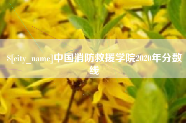 秦皇岛中国消防救援学院2020年分数线