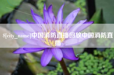 秦皇岛中国消防直播回放中国消防直播