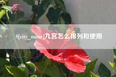 秦皇岛九宫怎么排列和使用