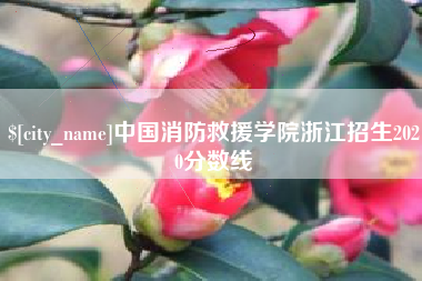秦皇岛中国消防救援学院浙江招生2020分数线