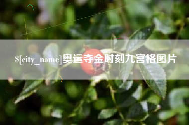 秦皇岛奥运夺金时刻九宫格图片