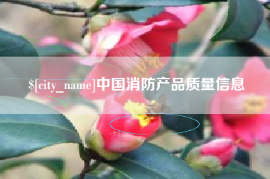 秦皇岛中国消防产品质量信息