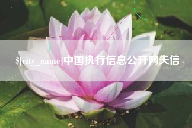 秦皇岛中国执行信息公开网失信