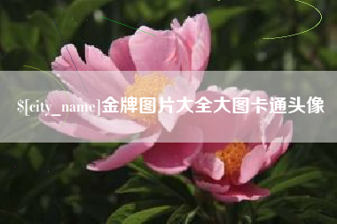 秦皇岛金牌图片大全大图卡通头像