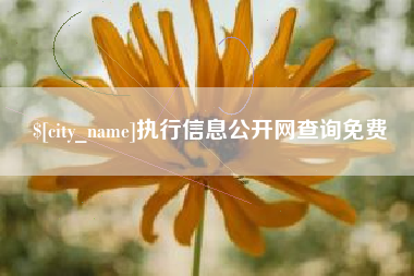 秦皇岛执行信息公开网查询免费